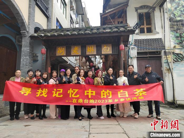 寻找记忆中的白茶台胞参访“中国白茶之乡”福建福鼎