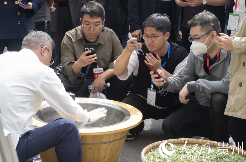 观摩炒茶工艺。人民网 龙章榆摄